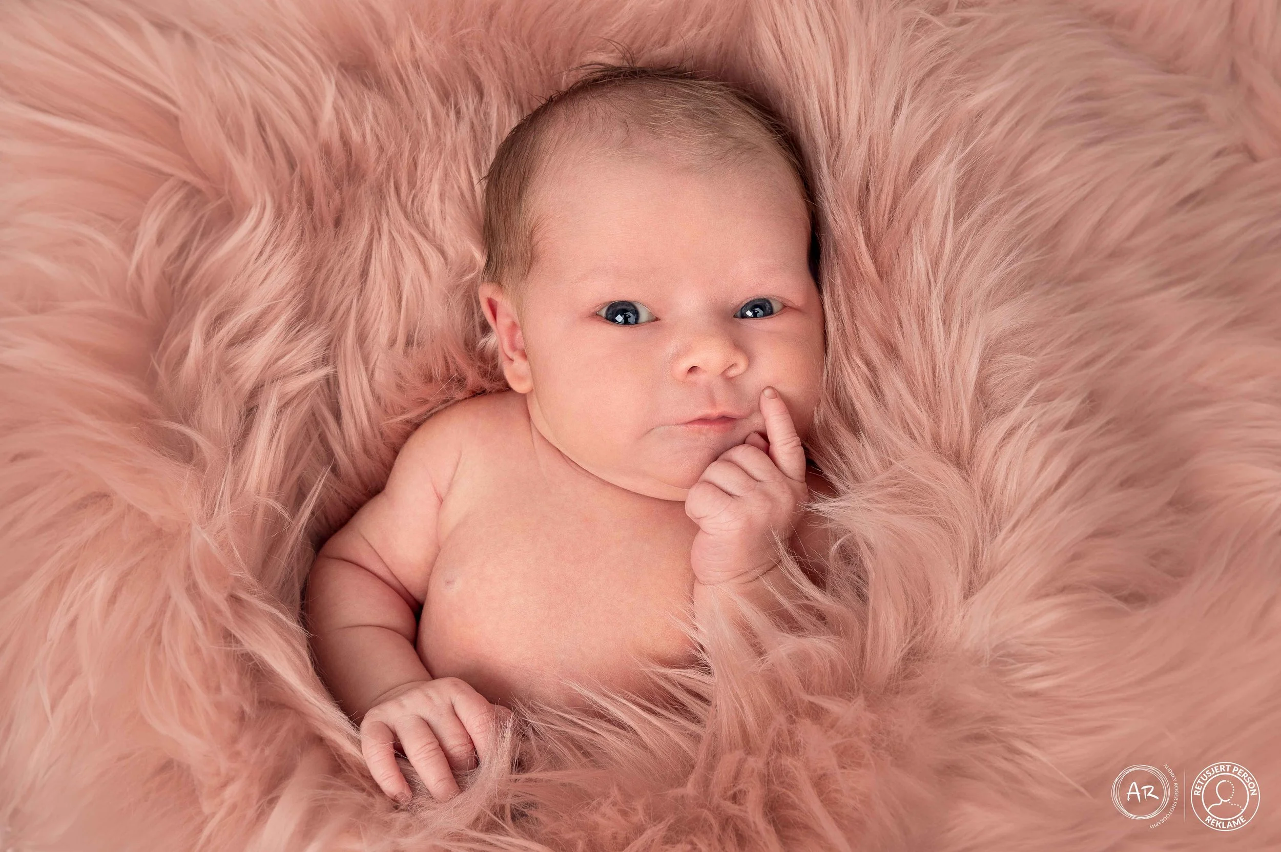 Nyfødtfotografering (8444)