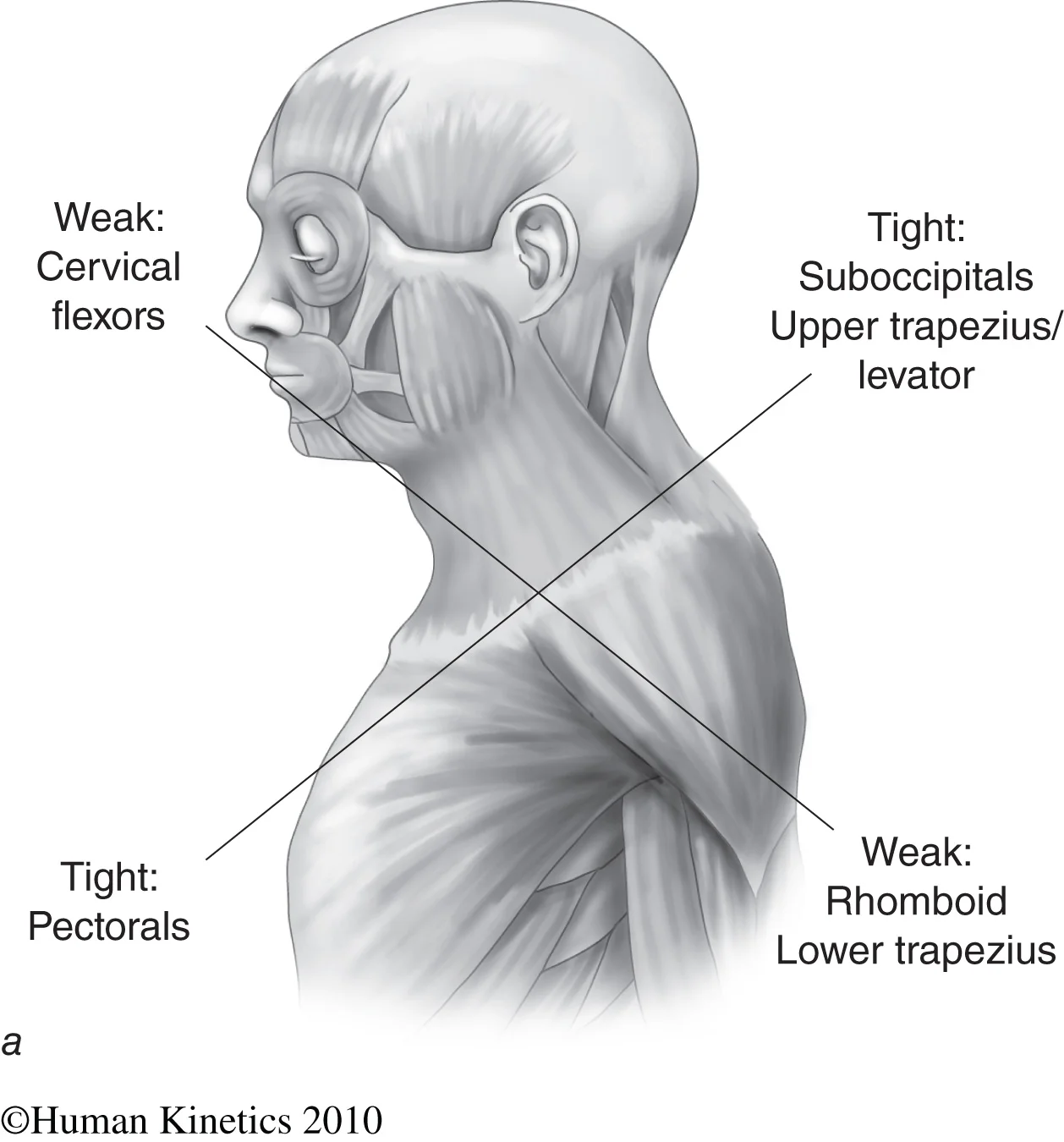 fig04_02a.jpg
