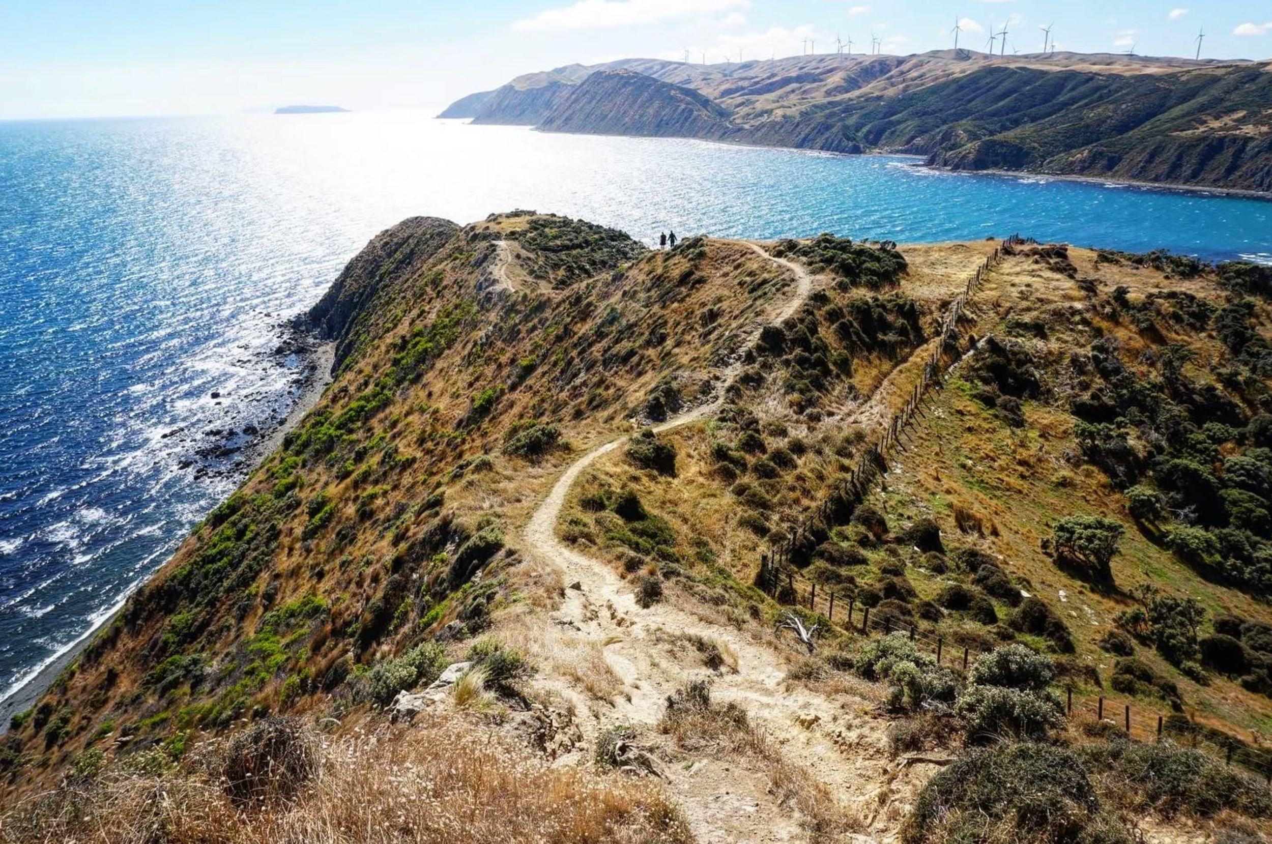 Screen Shot 2026-01-29 at 12.41.39.png