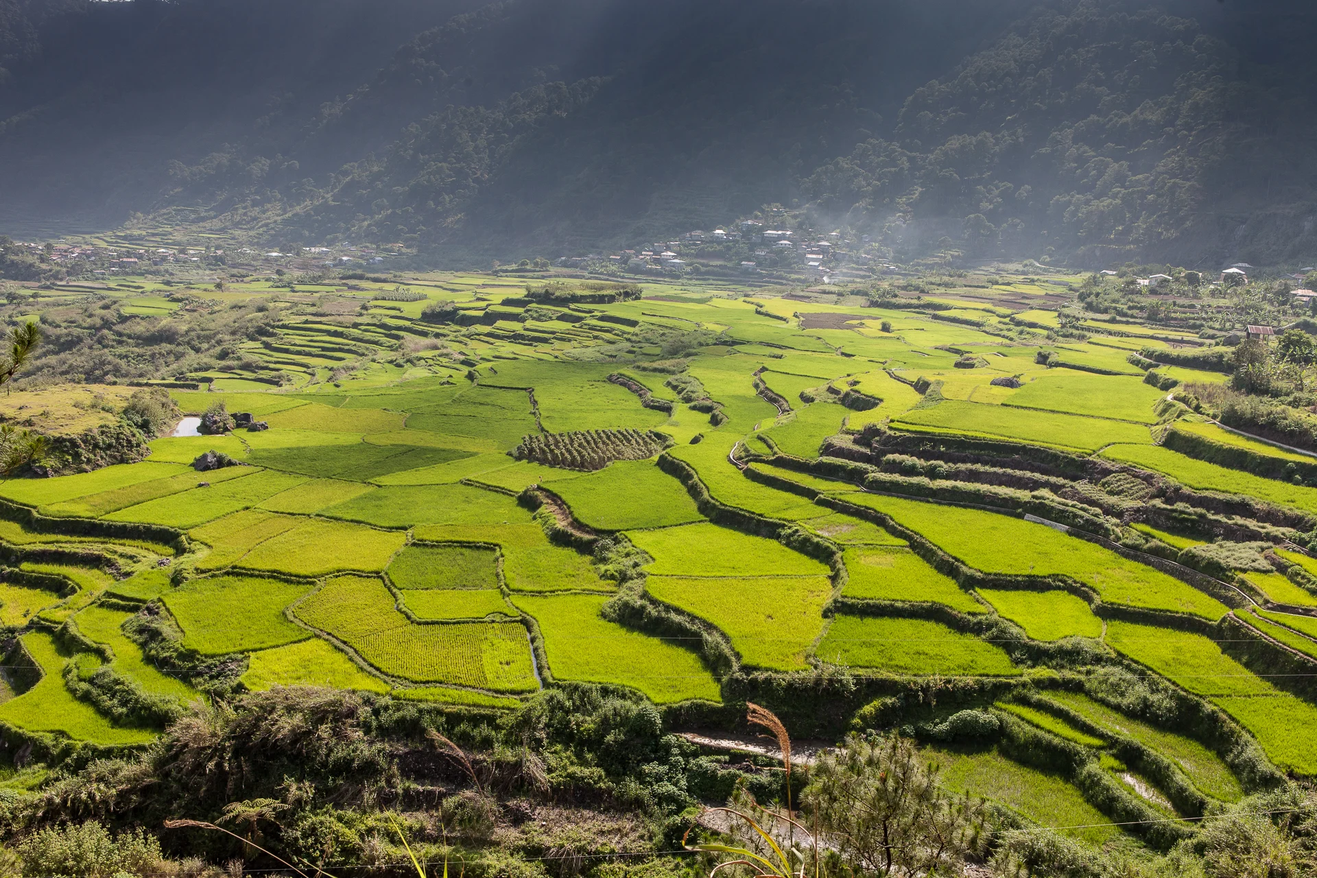 ©CindyBajema_20120421_Banaue.D3_0161 copy.jpg