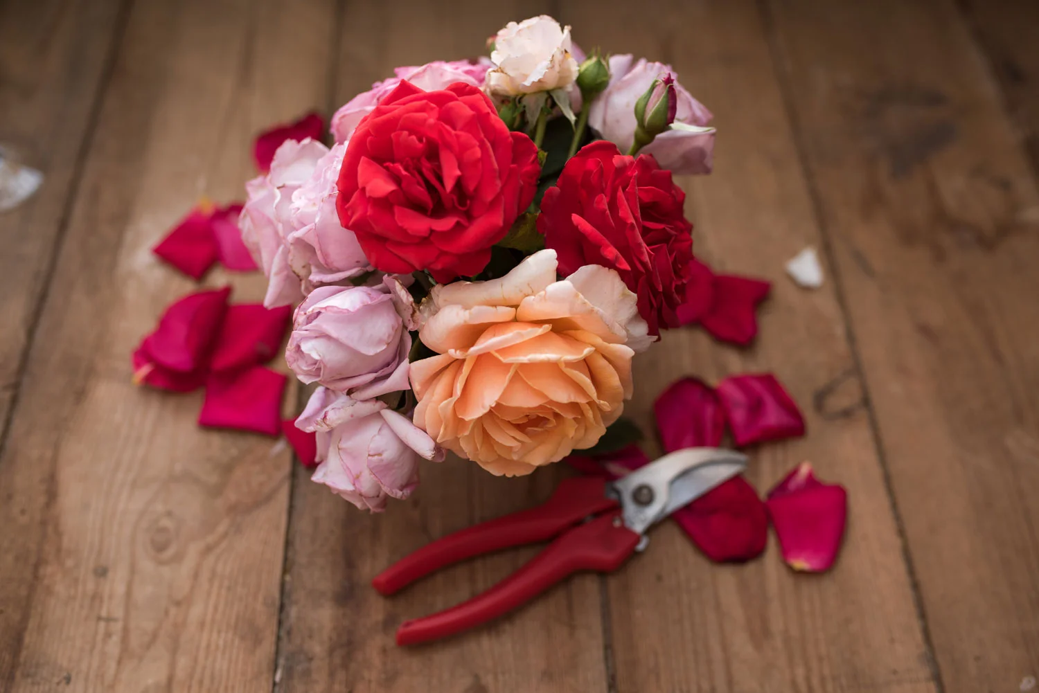 Flowers.jpg