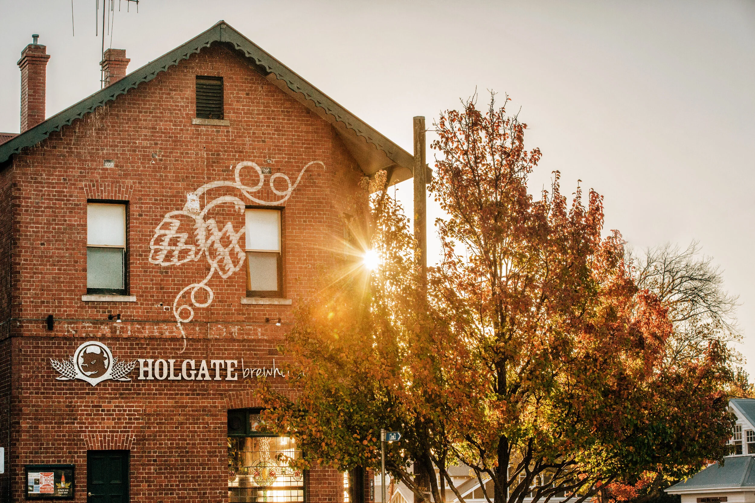 holgate-021.jpg