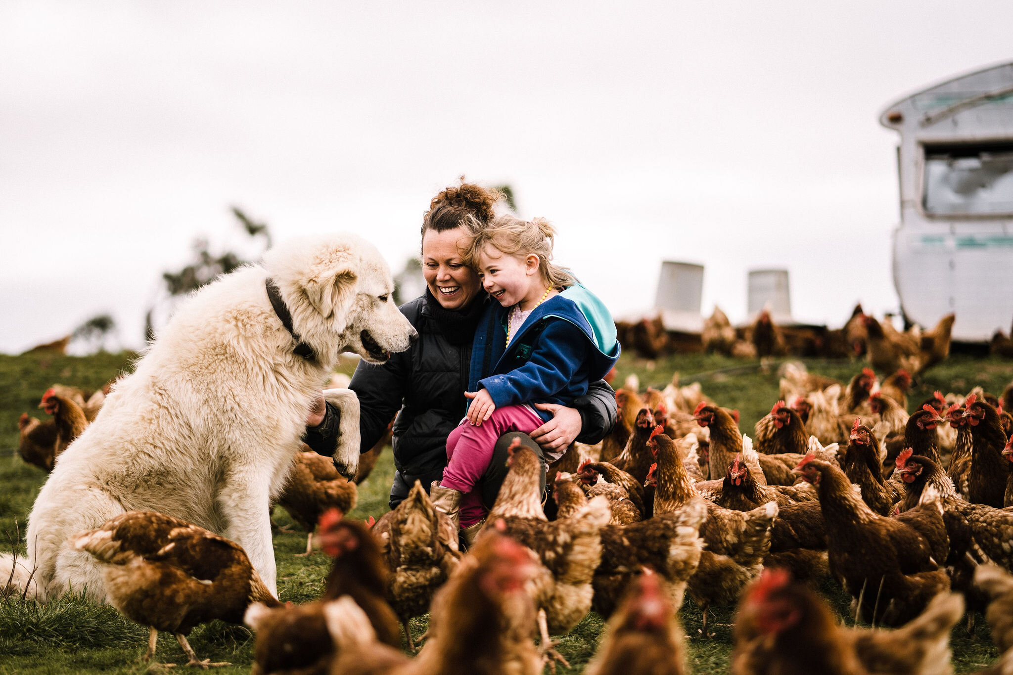 Living the Good Life