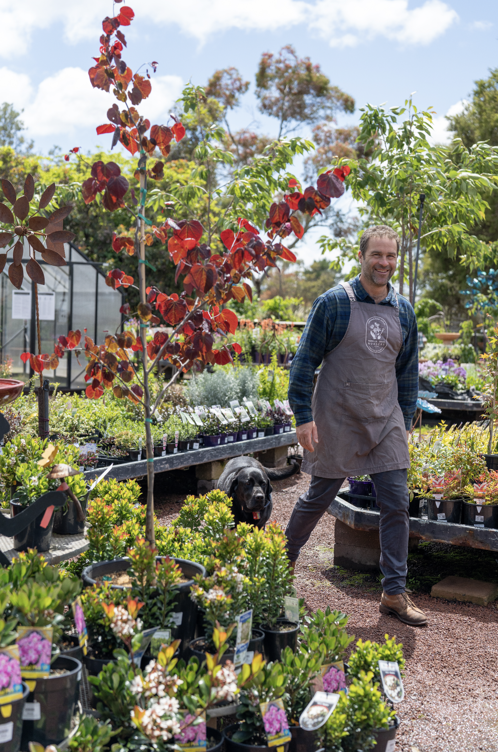 Cultivating New Beginnings