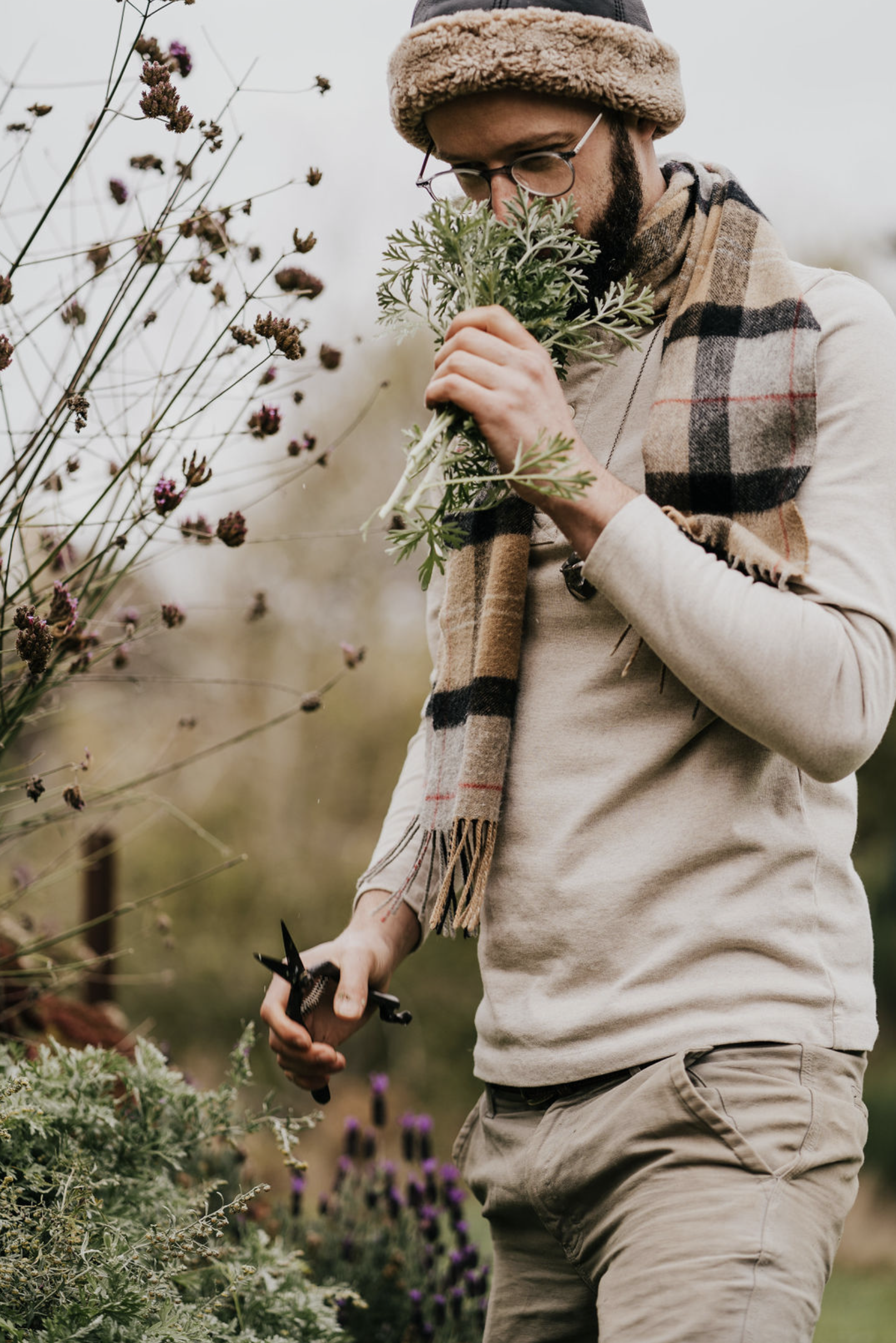 Botanical Renaissance&nbsp;