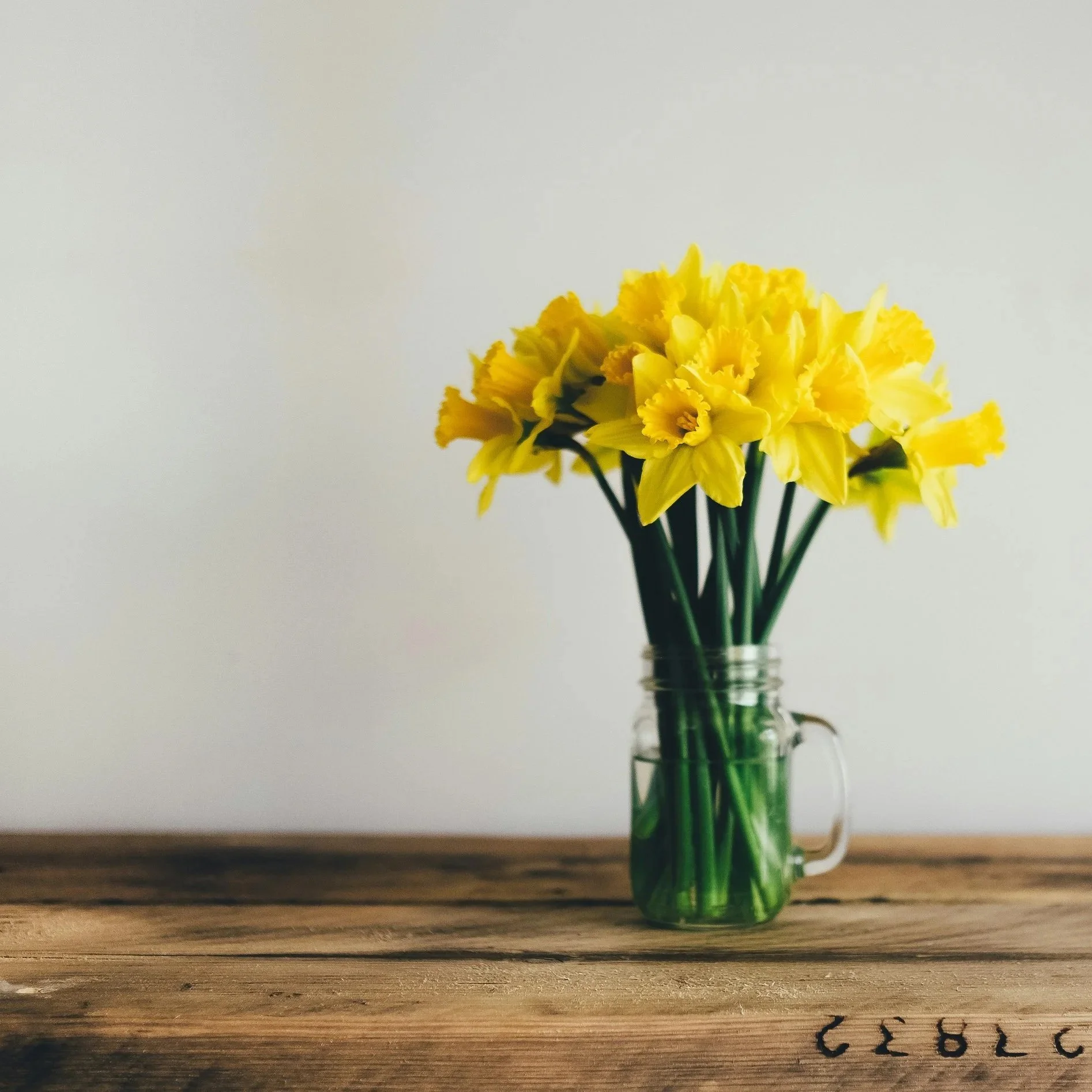 Welcome to Spring