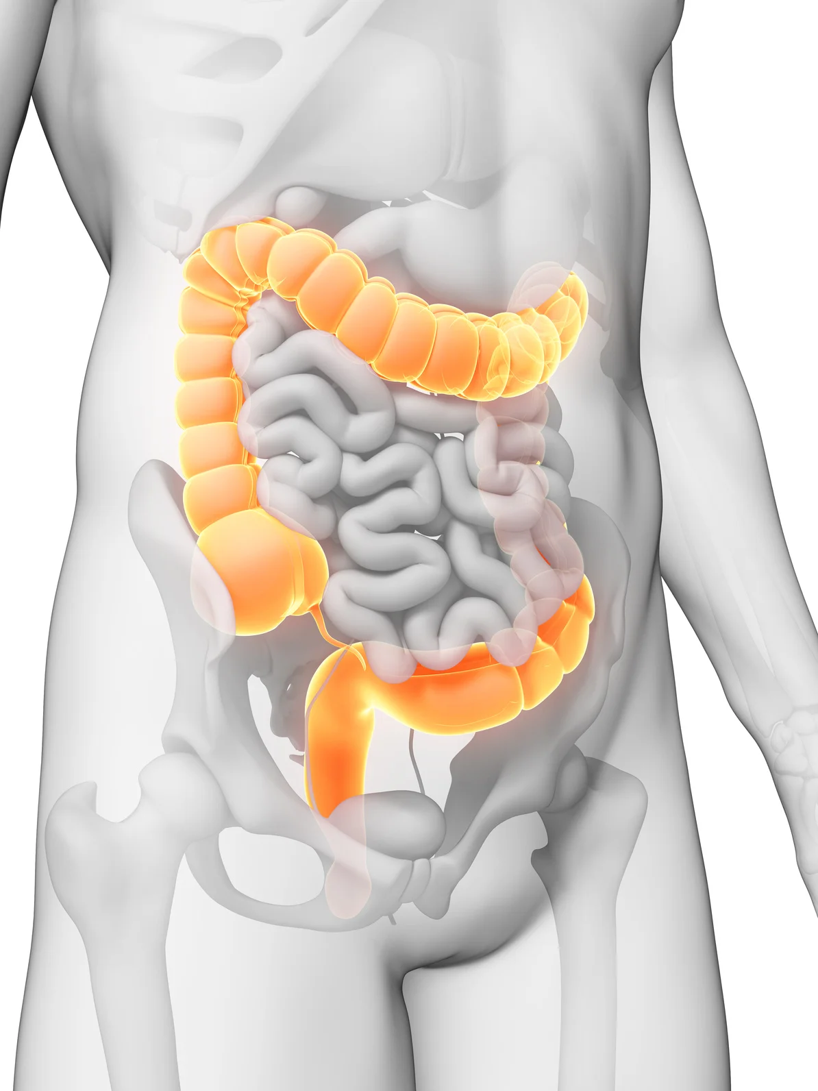 Pro Health Therapy Rooms Colonic.jpg