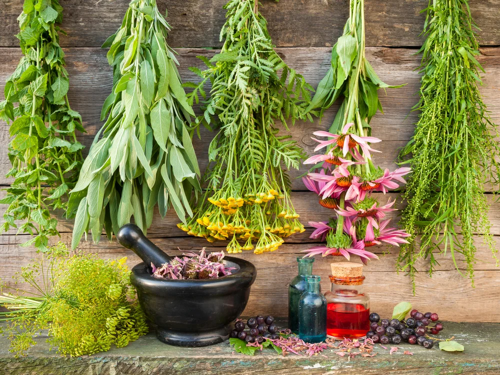 HERBAL MEDICINE.jpg