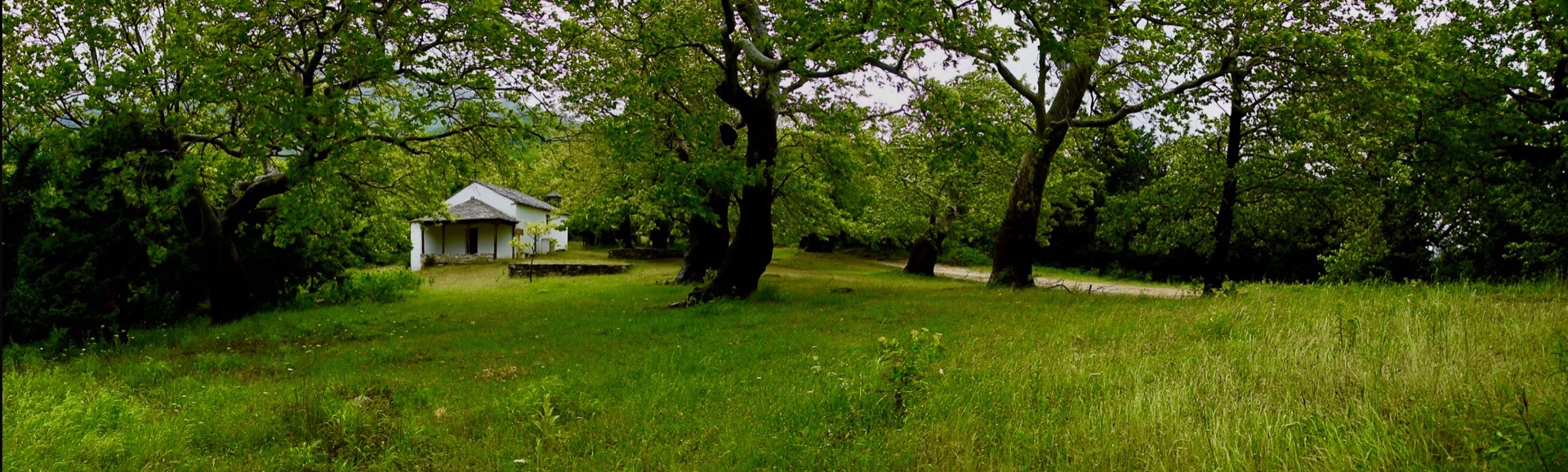 DSC_0024.jpeg
