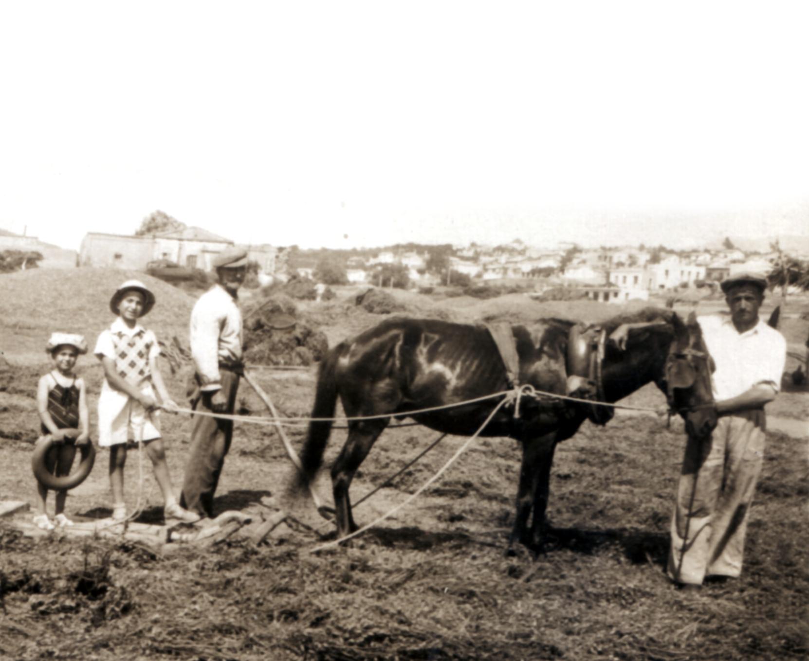 Θεατρικό Ηλιοστάσιο 2019