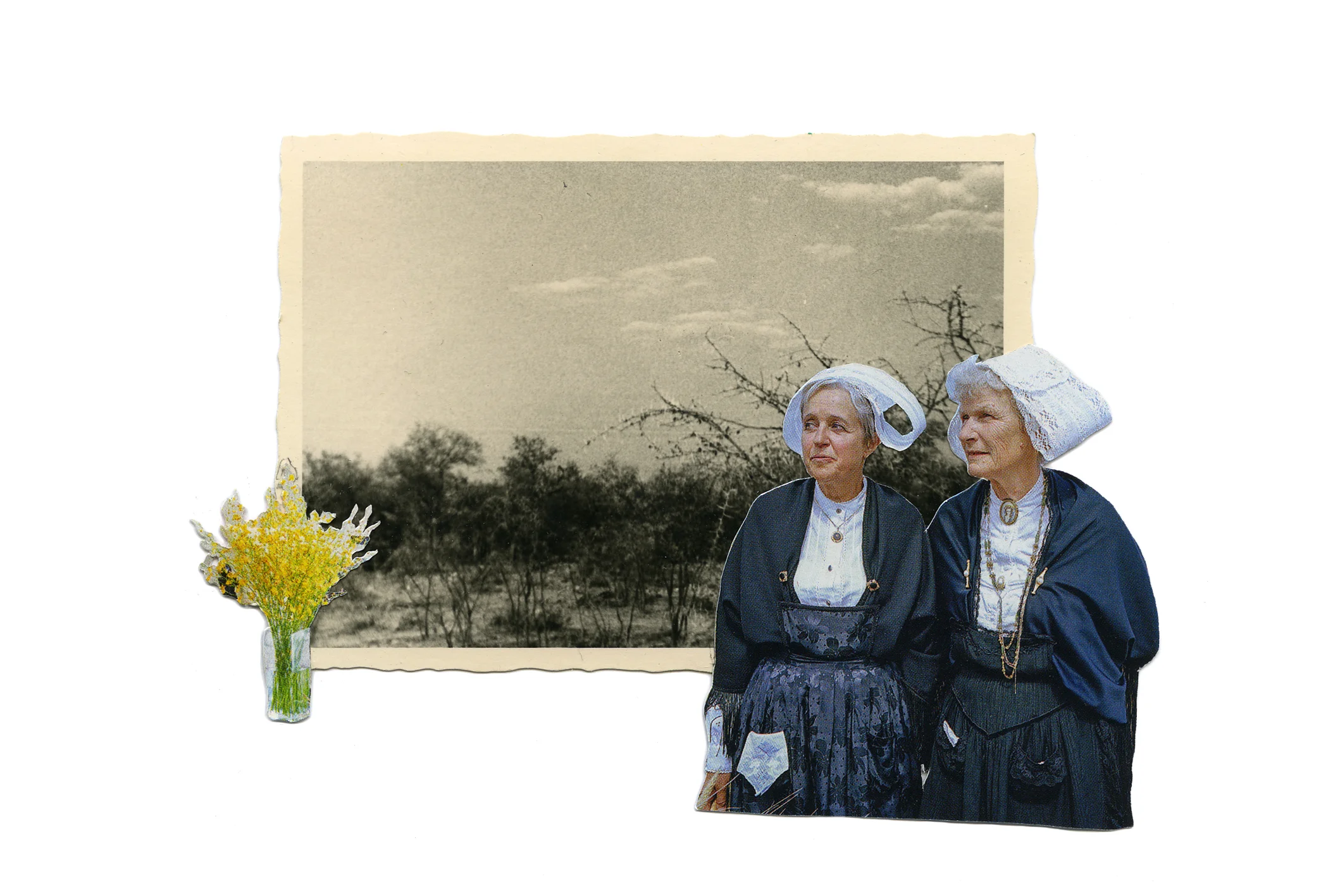 Sisters of Tradition
