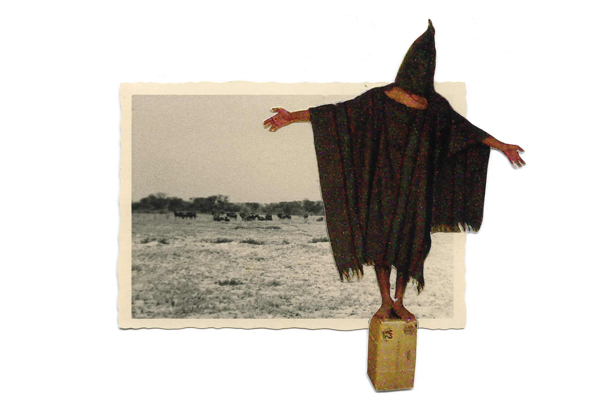 Wildebeest Rituals