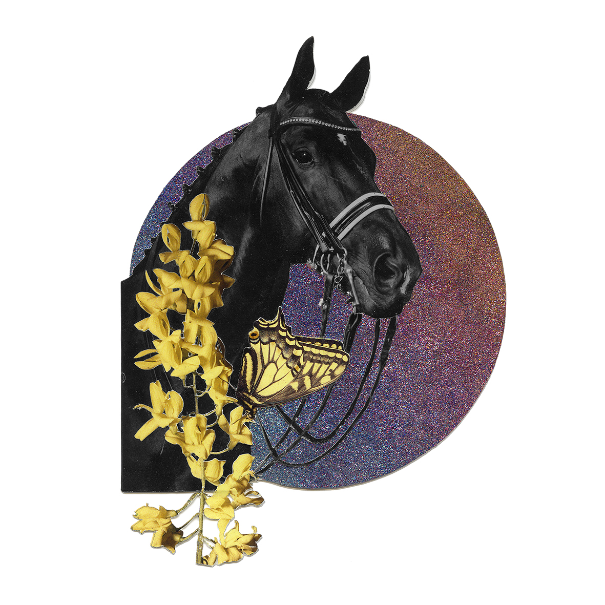 Sparkling Stallion.jpg