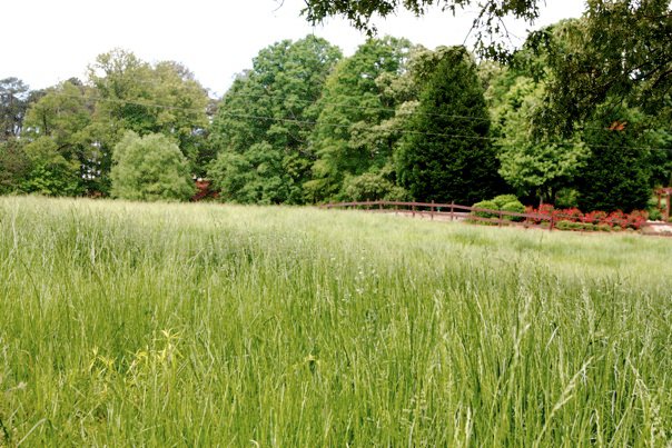 Brookside Farms Green Grass and Trees