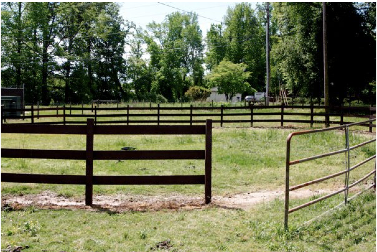 Circle Horse Pin at Brookside Farms