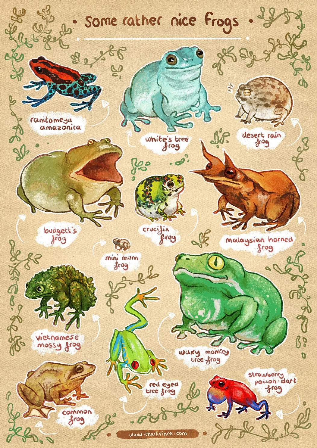 Some Rather Nice Frogs