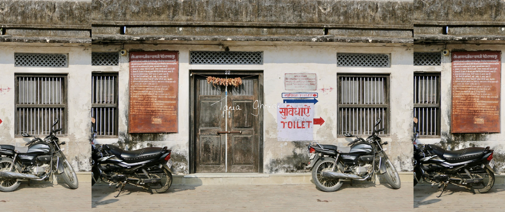 The Basics - January, 2020 (Ranakpur)