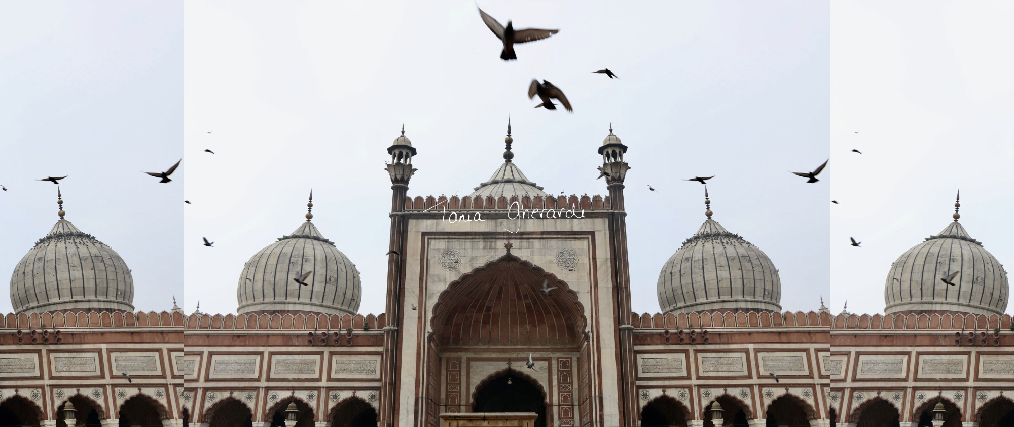 Unleashed - December, 2019 (New Delhi)