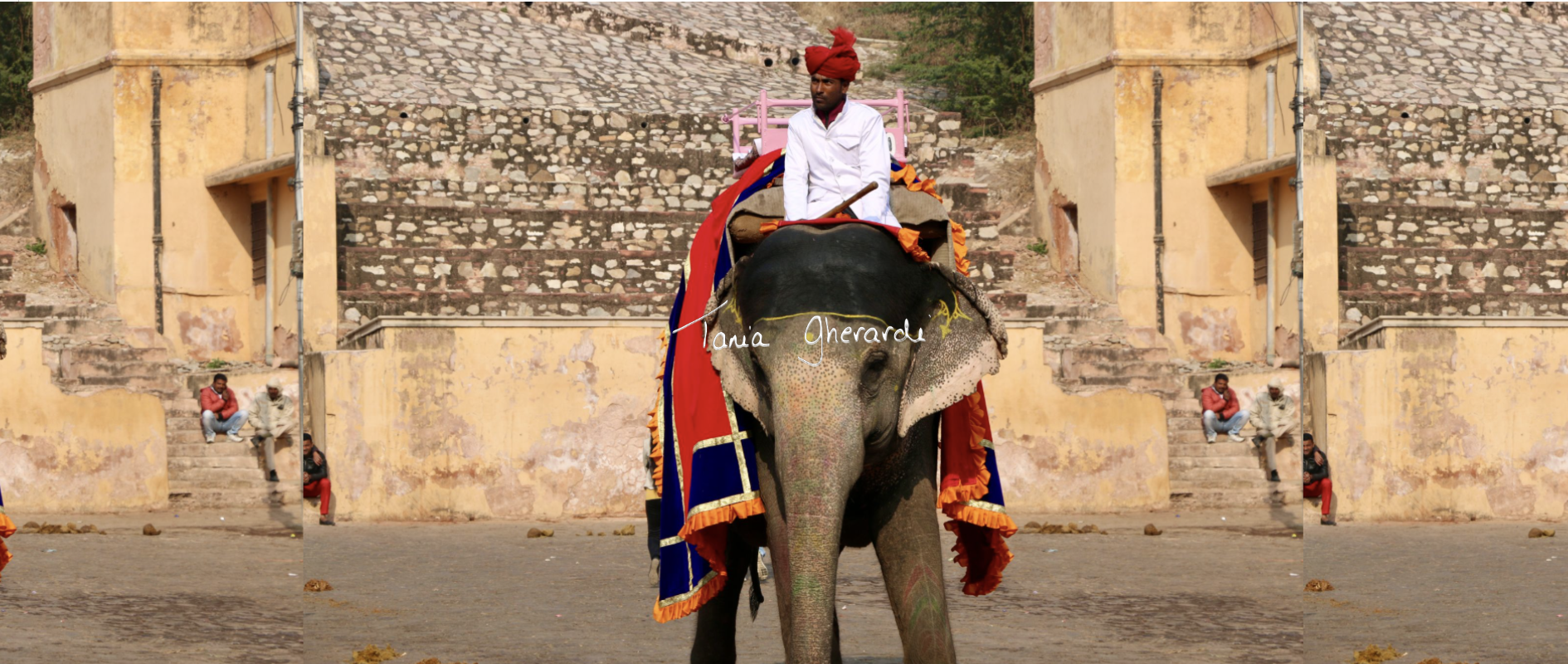 Ganesha - December 2019 (Jodhpur)