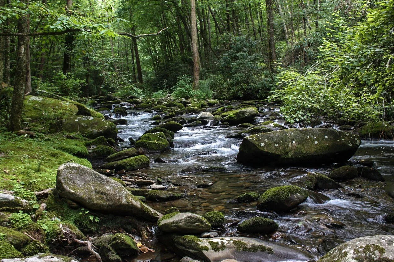 Slickrock Creek Trail #42