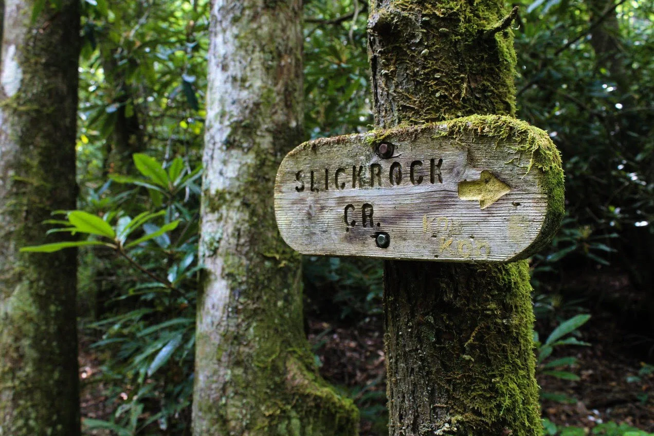 Slickrock Creek Trail #42
