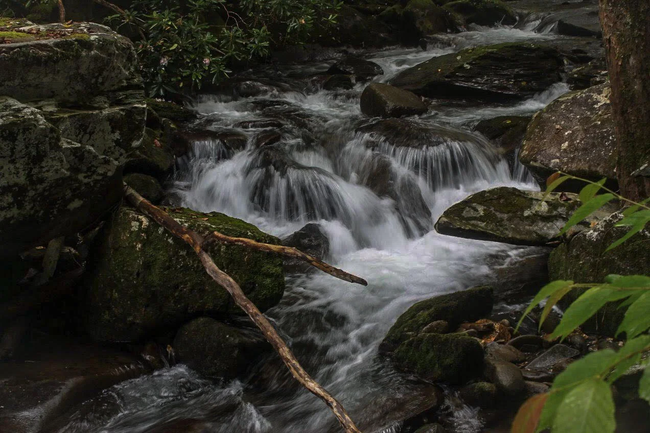 Slickrock Creek Trail #42