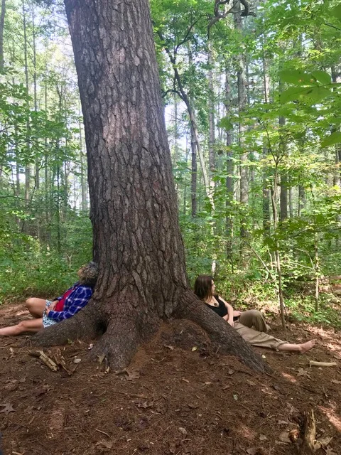 The Health Benefits of Being in Nature &amp; Forest Therapy