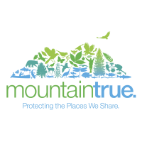 MountainTrue.png