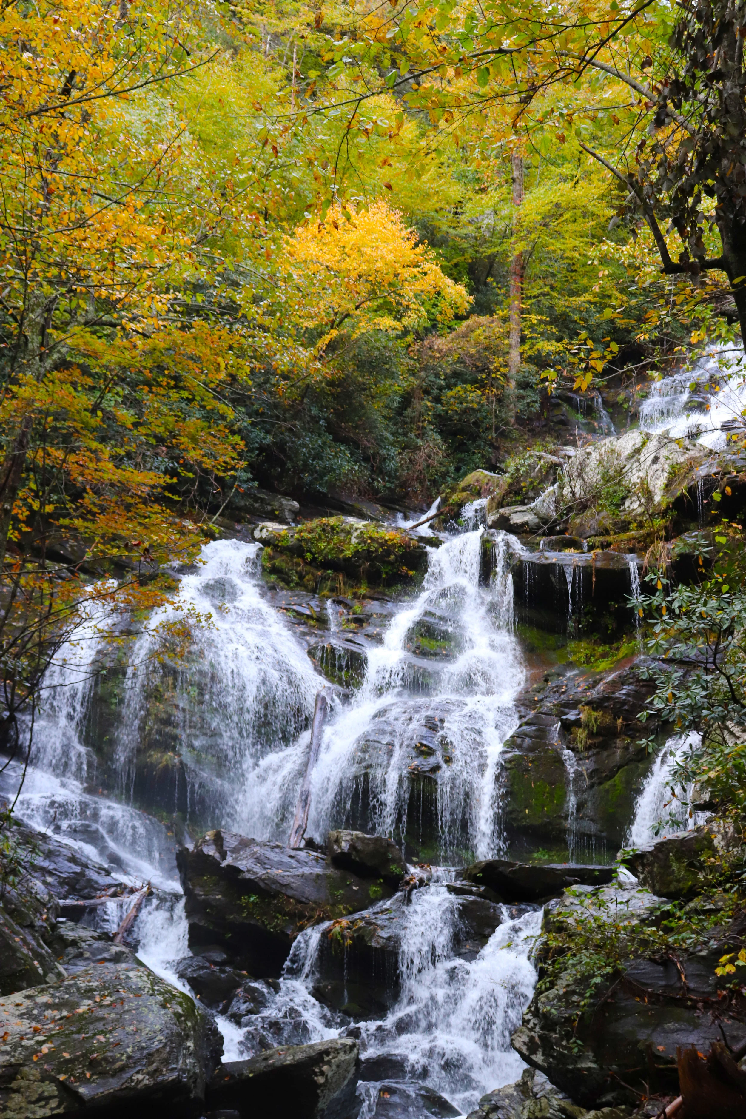 Fall Equinox Transitions + Free Video: Autumn Yoga Nidra Guided Relaxation