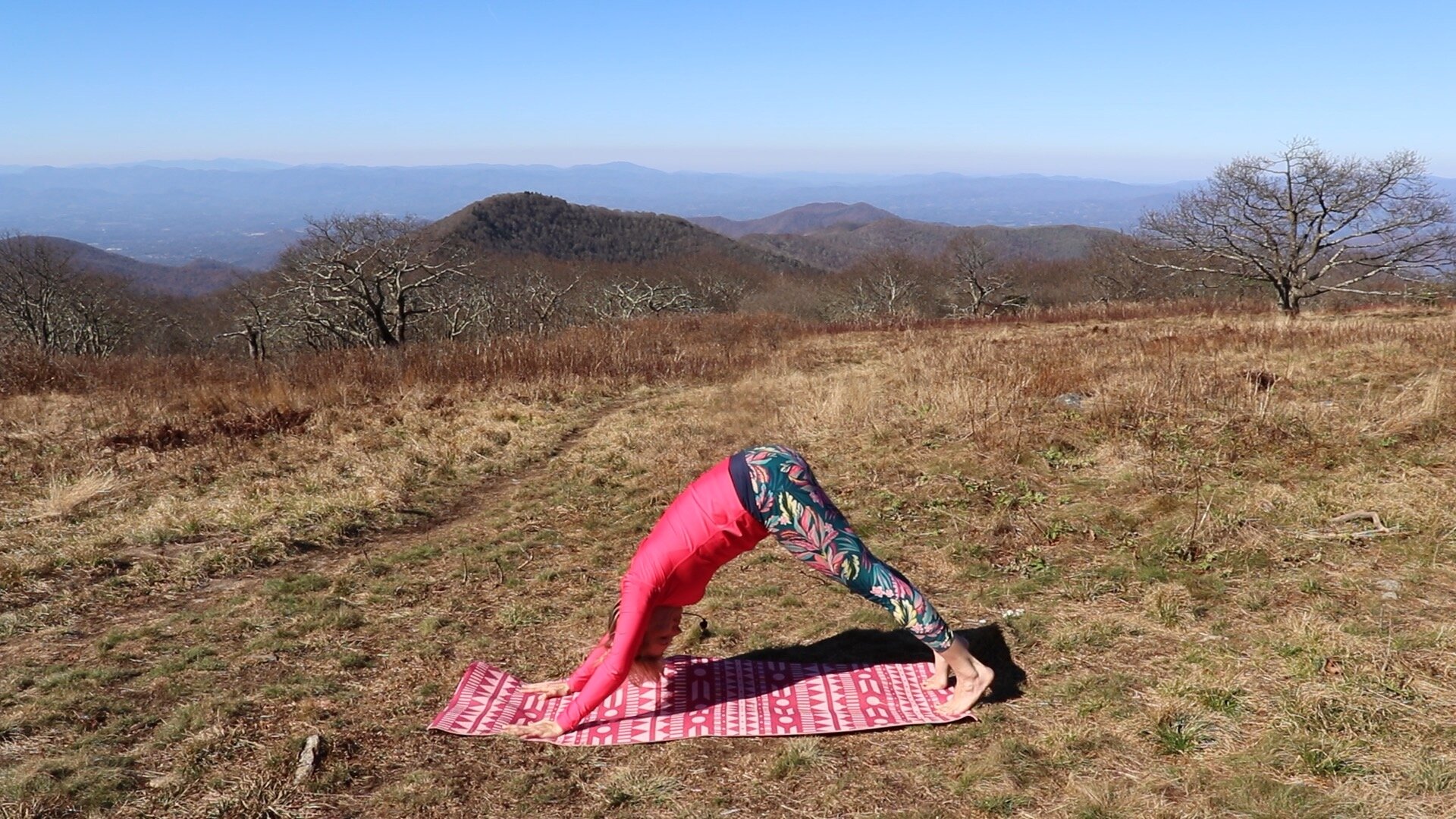 Asheville Hiking Yoga Meditation Tours Retreats & More — 5 Minute Yoga: How  to do Hatha Yoga Sun Salutations (Step by Step) — Namaste in Nature