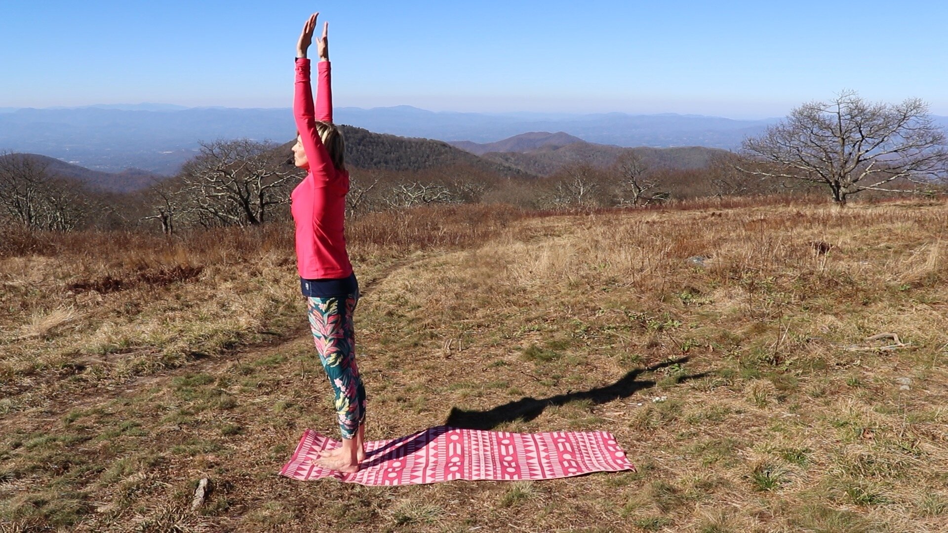 How-to-do-beginner-yoga-Hatha-Sun-Salutations-2.jpeg