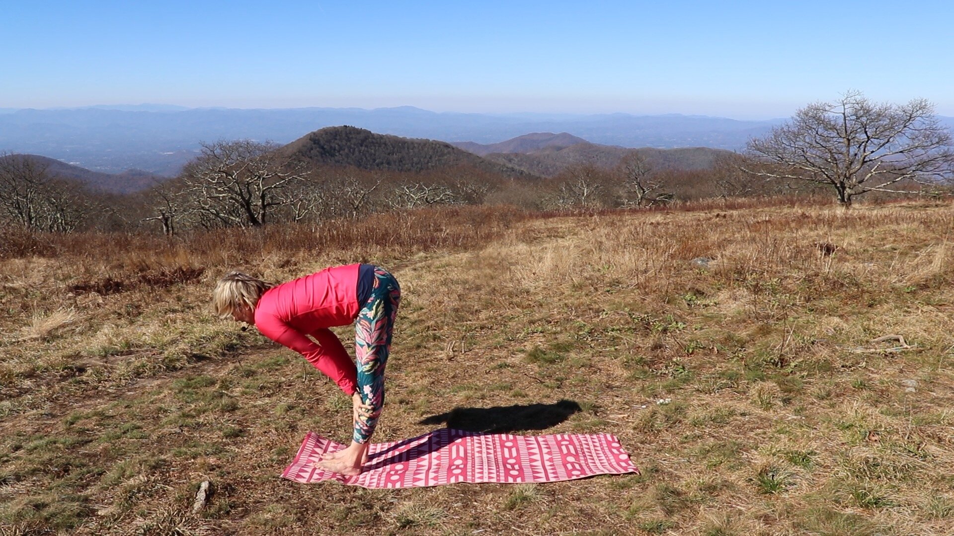How-to-do-beginner-yoga-Hatha-Sun-Salutations-4.jpeg
