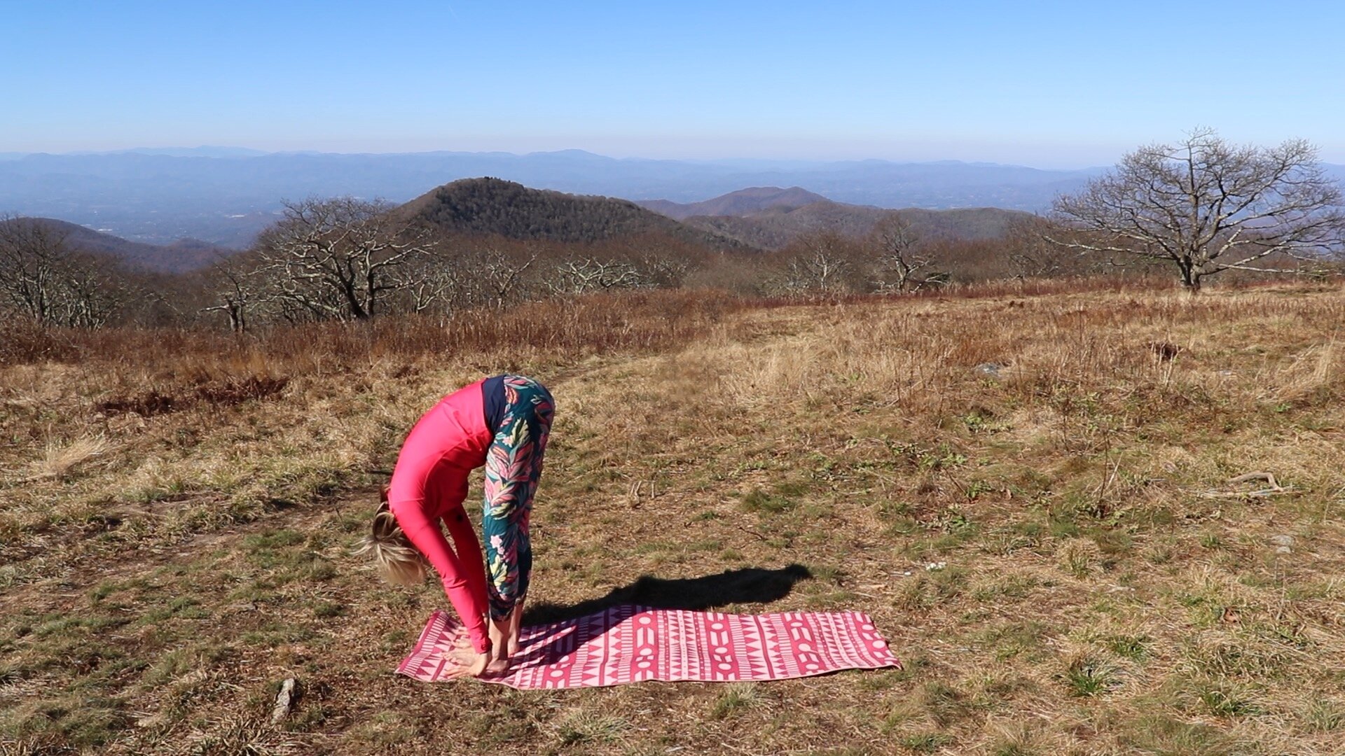 How-to-do-beginner-yoga-Hatha-Sun-Salutations-5.jpeg