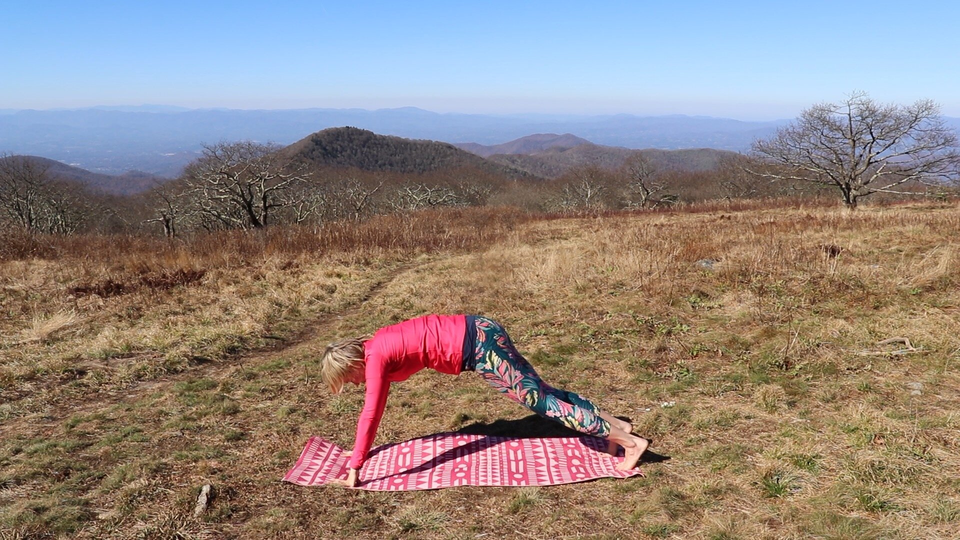 How-to-do-beginner-yoga-Hatha-Sun-Salutations-8.jpeg