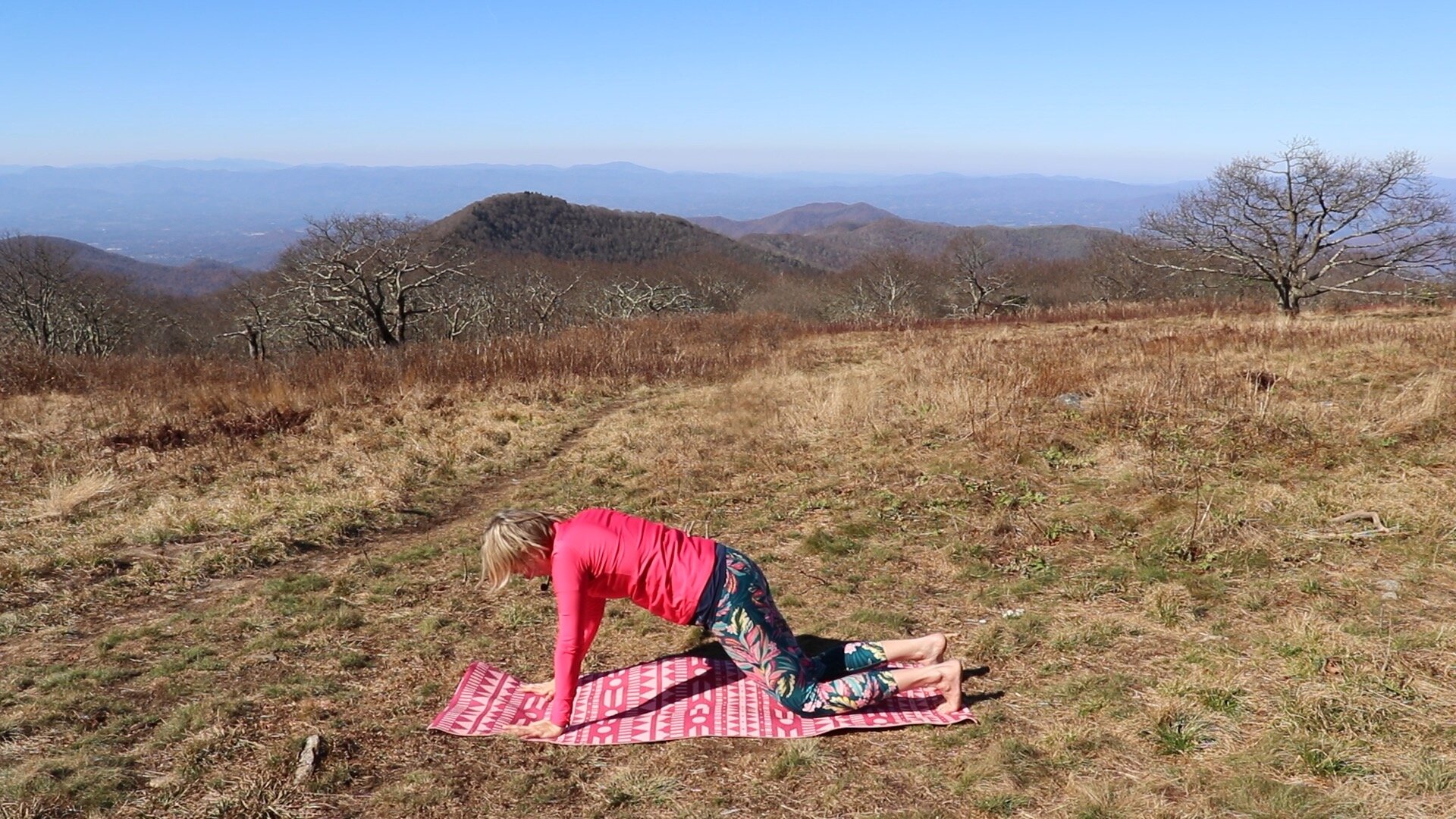 How-to-do-beginner-yoga-Hatha-Sun-Salutations-9.jpeg