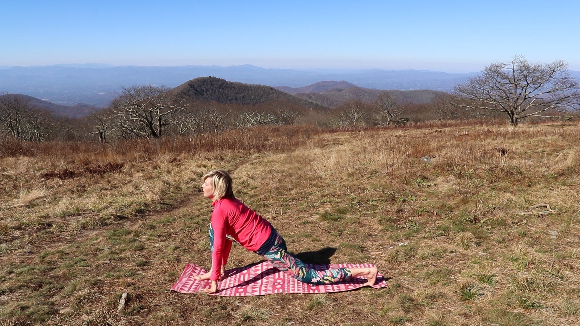 How-to-do-beginner-yoga-Hatha-Sun-Salutations-13.jpeg