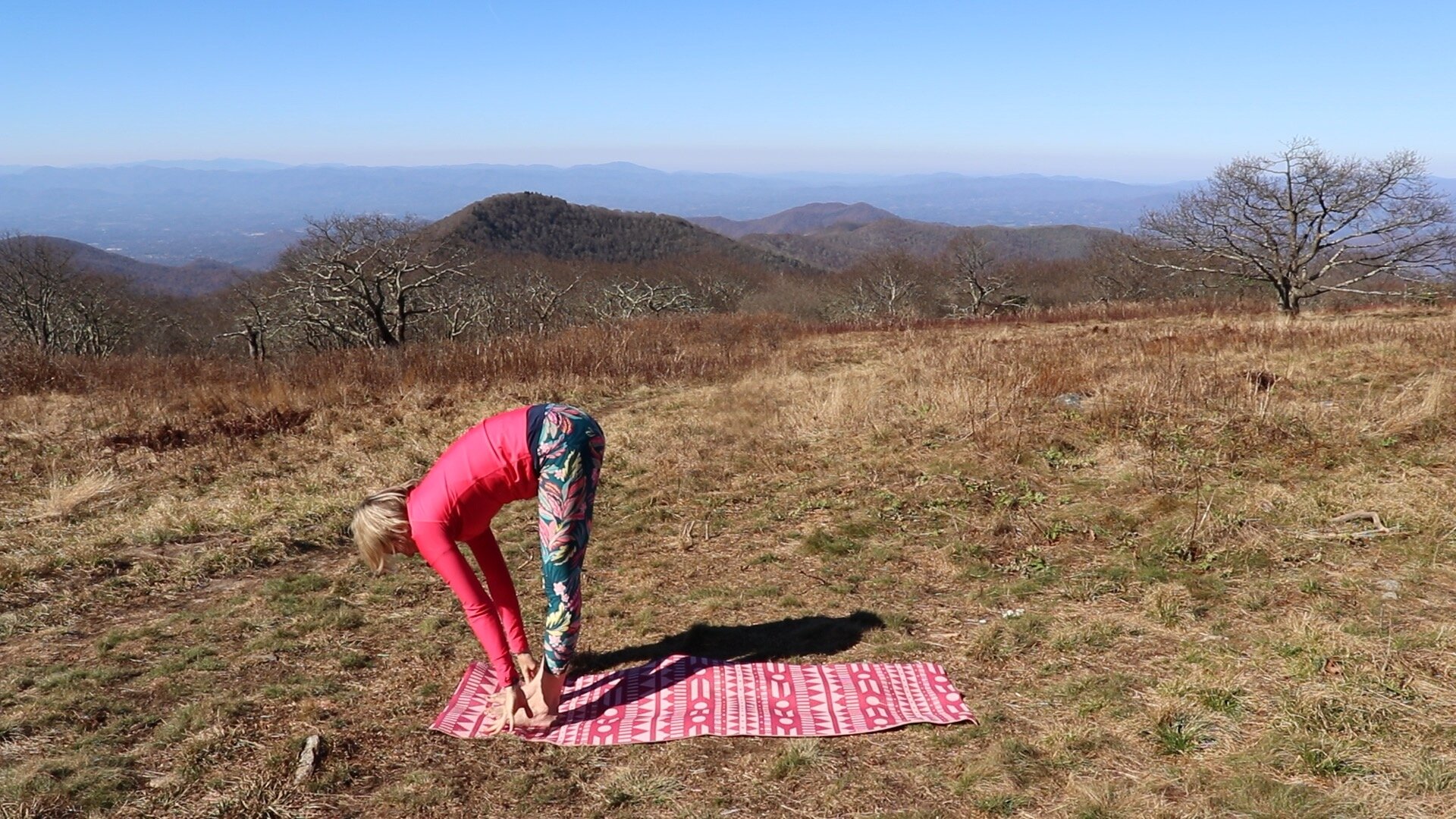 How-to-do-beginner-yoga-Hatha-Sun-Salutations-15.jpeg