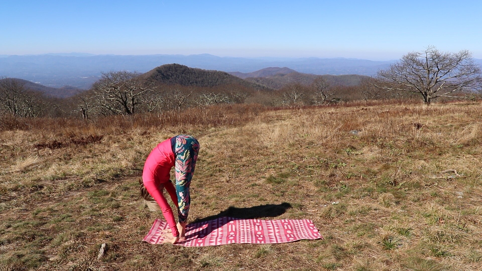 How-to-do-beginner-yoga-Hatha-Sun-Salutations-16.jpeg