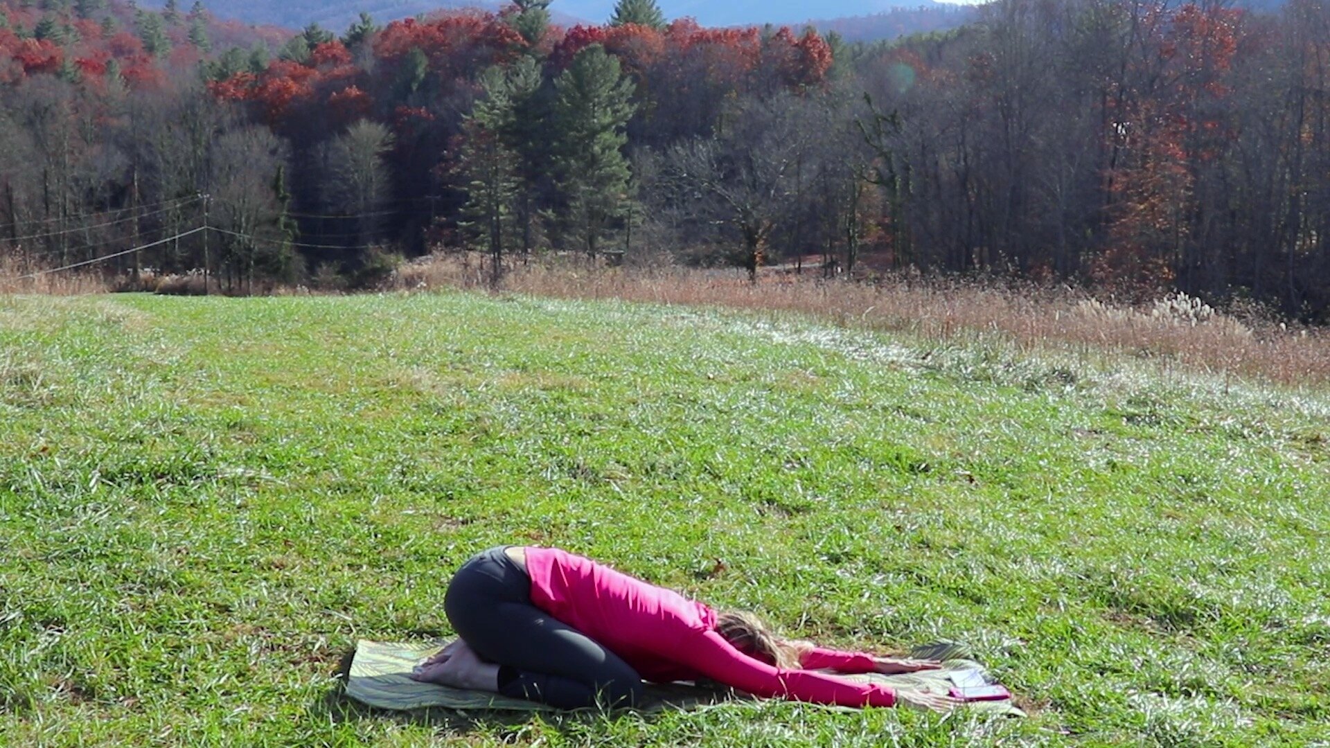Plan Your Asheville Adventure — Water Element Yoga Poses, Videos for Happy  Hips, Healthy Joints — Namaste in Nature