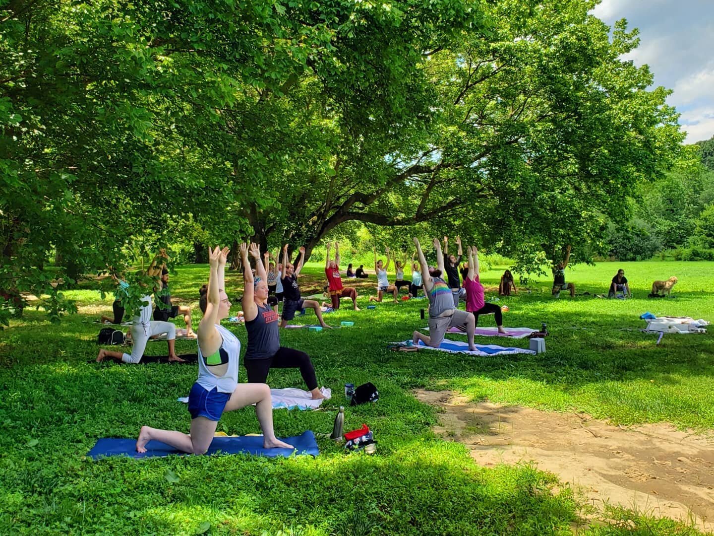 yoga in the park 2.jpg