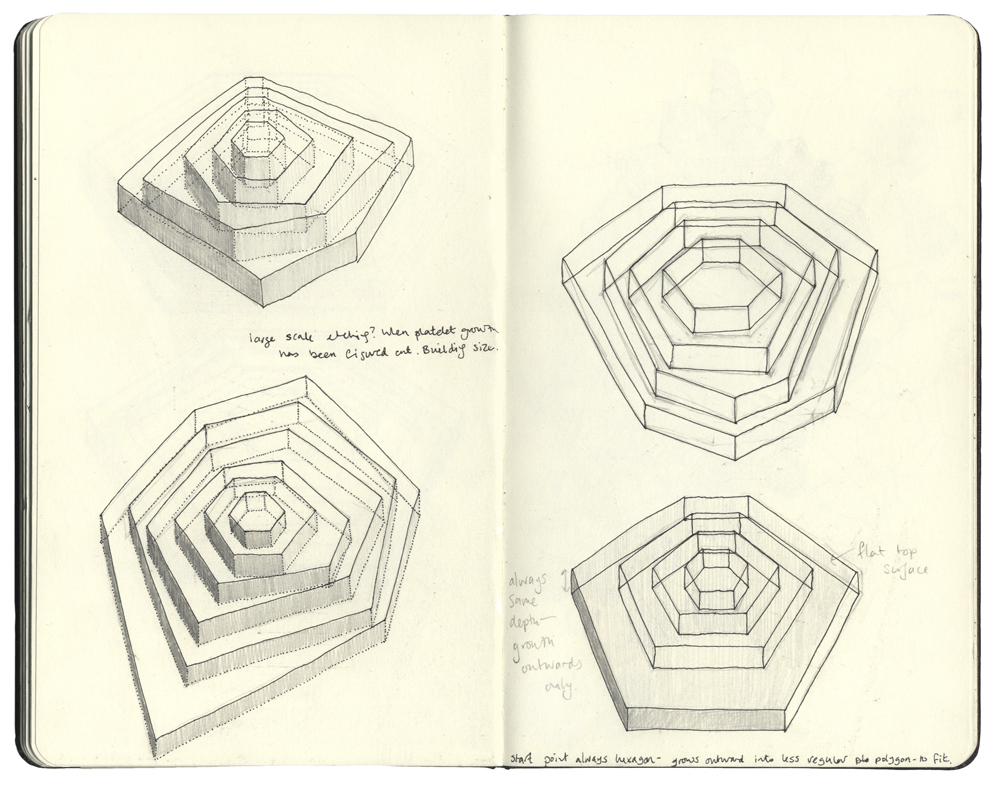 Sketchbook; imagining the growing patterns of platelets.