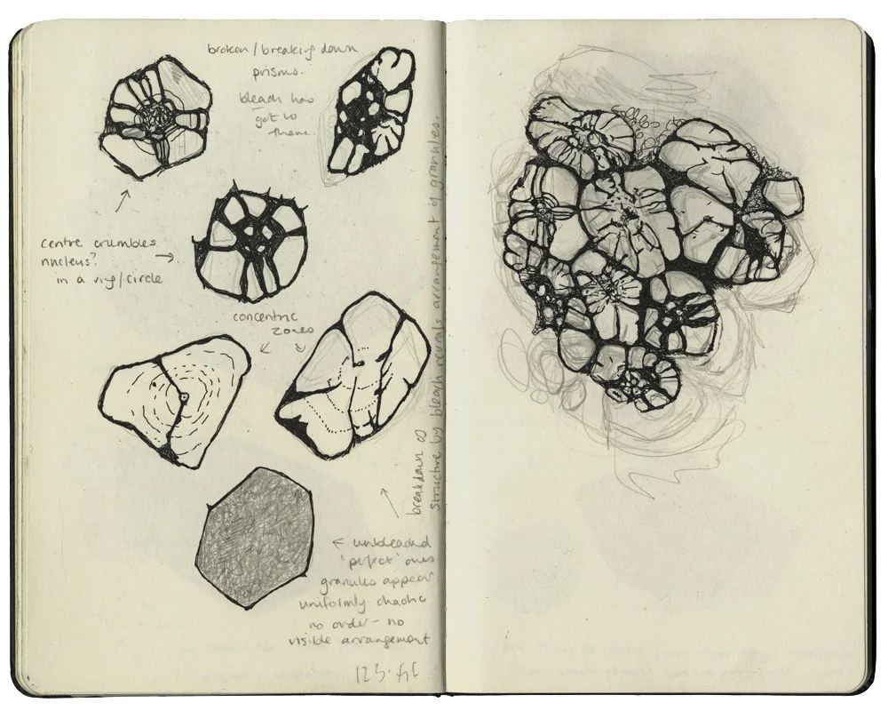 Drawing patterns of disintegration seen through the SEM.