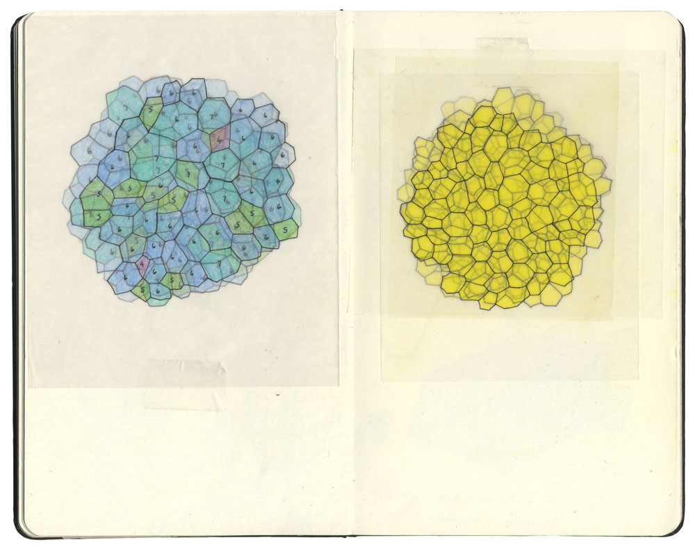 Sketchbook; playing with structures.