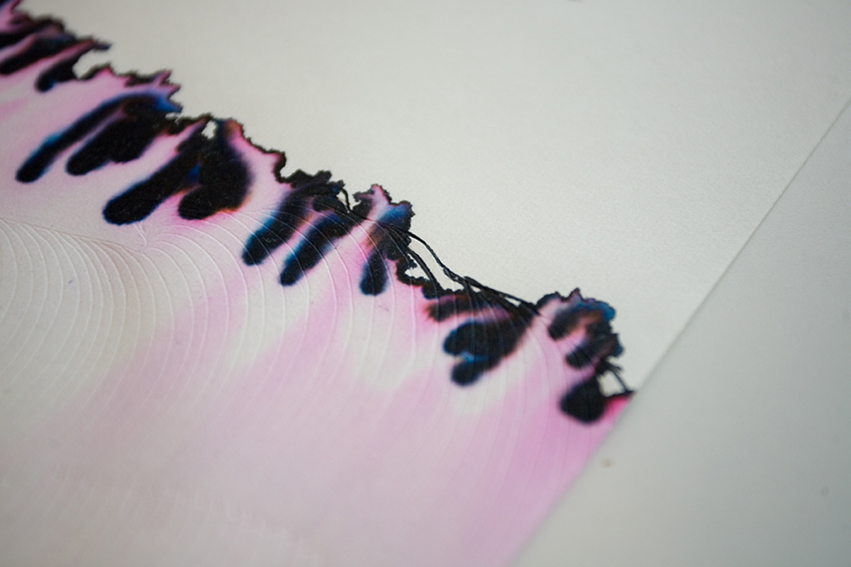 Chromatography studies of the Bow River, 2013 I used water-soluble black ink on rice paper to create two stage drawings exploring the physical nature of fluid dynamics. I drew my own version of river flows then dipped the drawing in river water, allowing the water to redraw the image as the ink travelled up the paper. 