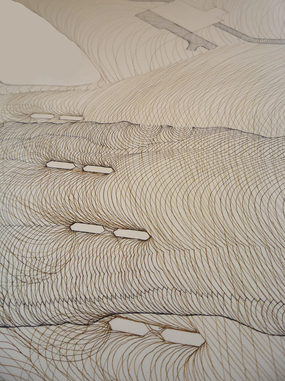 Bow Flow 1 (detail) Pen and ink drawing. Detail of 8ft pen and ink drawing that visualises the flow of water through SE Calgary. The first part of the drawing in black ink was made before the flood of June 2013, the second brown layer was made after the flood to depict the peak flood flows.