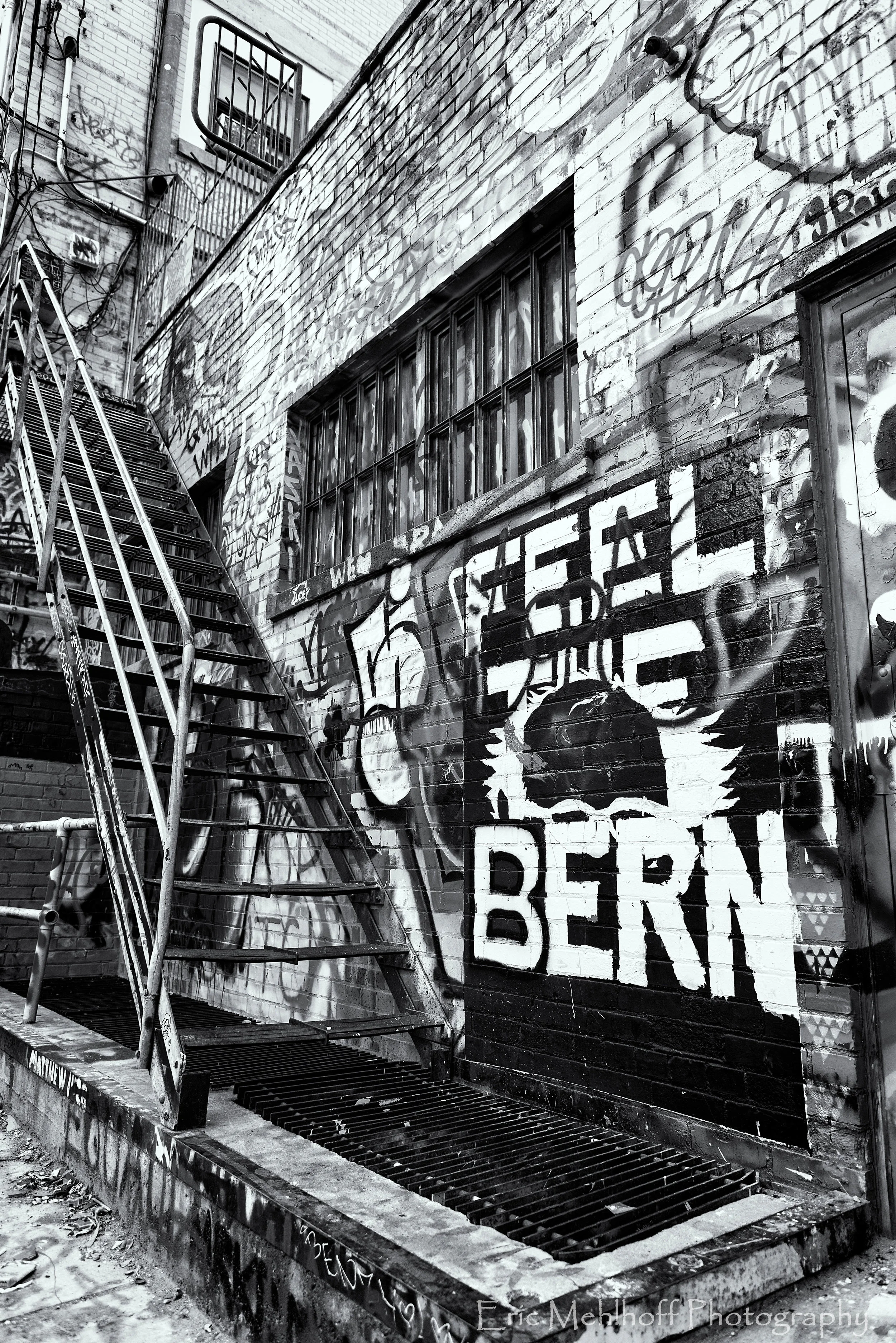 Rapid City, South Dakota - Art Alley Politics