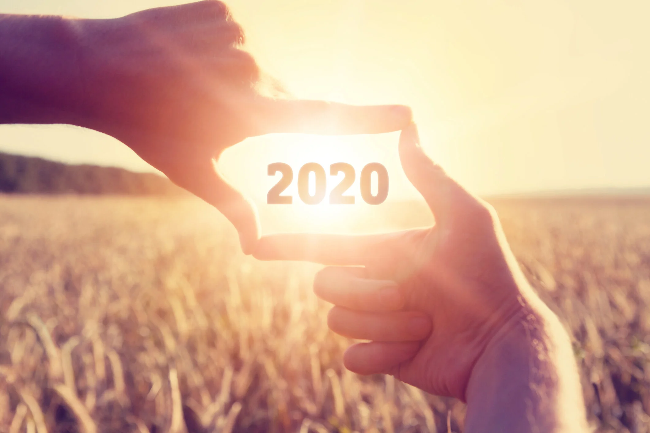Looking Back and to the Future