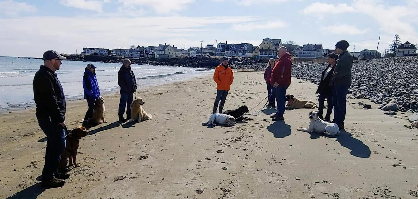 Street Steady Obedience. We take our students out and about to help them practice their obedience with the guidance of our trainers. This helps to give the confidence and encouragement both the owner and dog needs.
