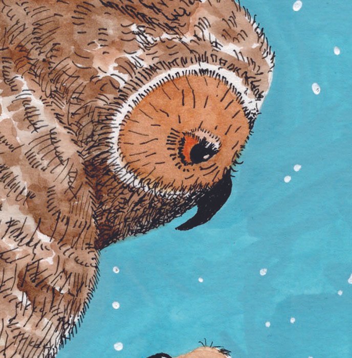 Owls in nest_Detail1.jpg
