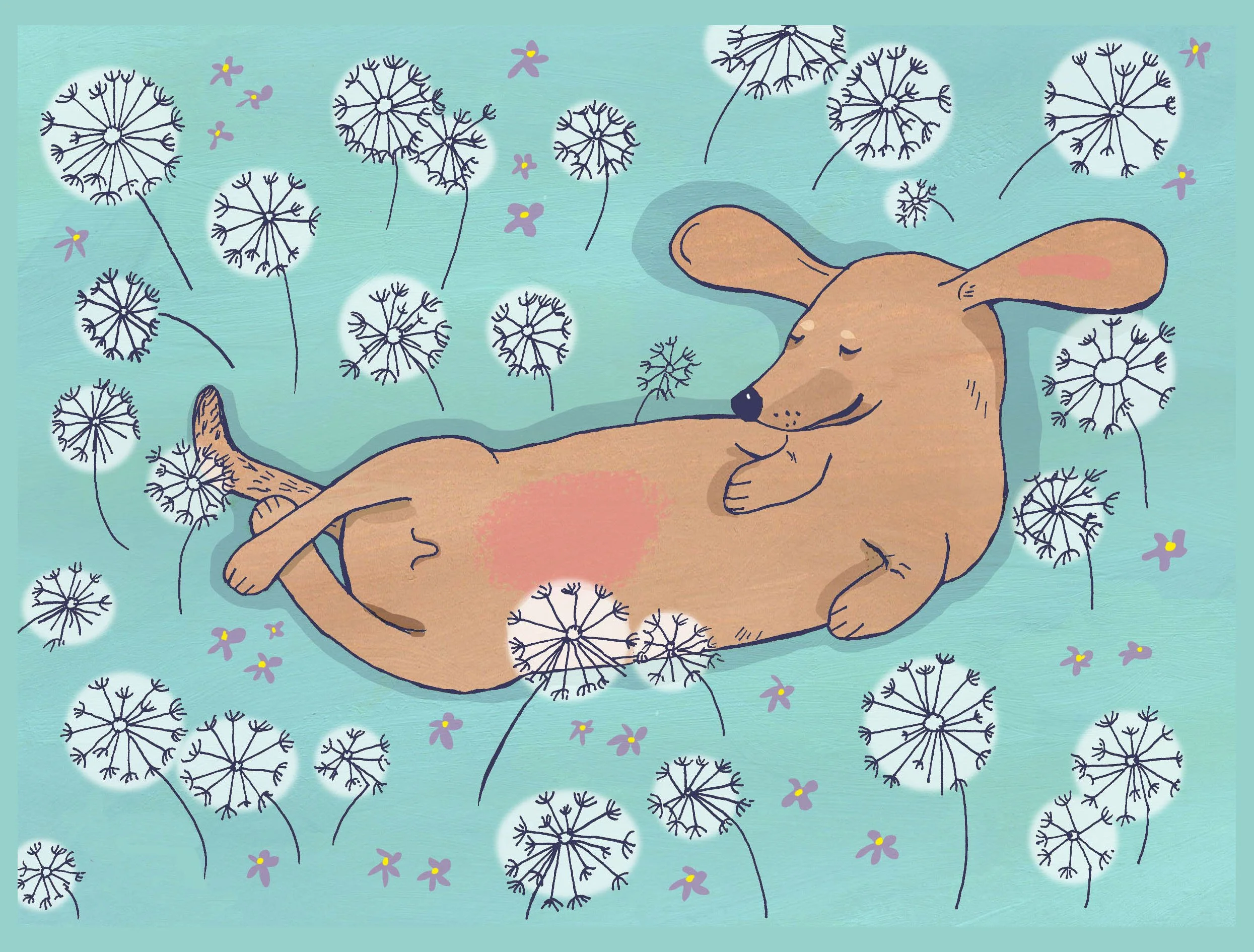 dog and dandelions.jpg